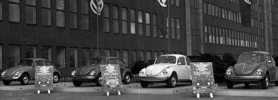 Volkswagen May Beetle Line-up